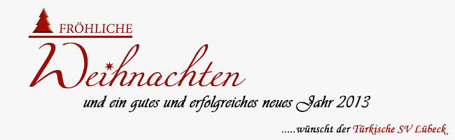 Frohe Weihnachten und ein gutes neues Jahr 2013